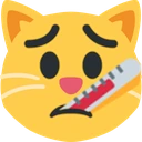 thermometer_cat emote