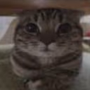 aha8 emote