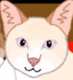 funny_cat emote