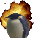 penguinExplode emote