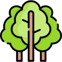 forest_trees emoji