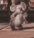 koalaPls animated emote