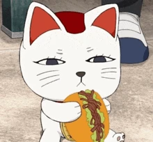 turbocat1 emote
