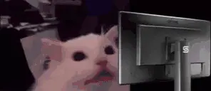 FLASHBANG emote