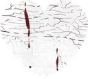 ShigaHeart emote
