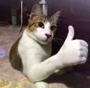 bien emote