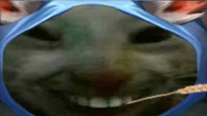xddmeepo emote