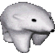 Polarbear animated emote