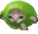 limecatrun emote