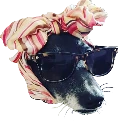 belle_sunglasses emote