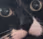 Judgmentalcatstare emote