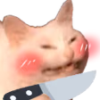 knifecat emote