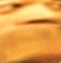 paus emote