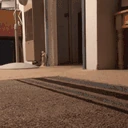 ChickenArrive emote