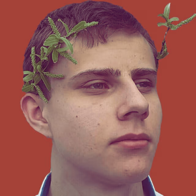 WZR02 emote