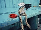 Grillin emote