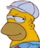 homer emote