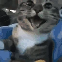 happy emote