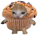 MuffinCat emote