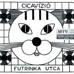 mmasu2 avatar