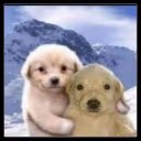Friends emote
