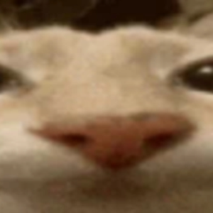 termodelean avatar