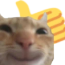catthumbsup emote