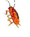 ROACHEST emote