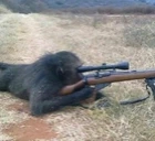 snipermonkey emote
