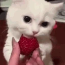strawberry emote
