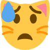 cat_scared emote