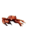 CrabDance emote