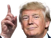 hesTrump static emote