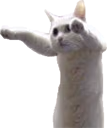 longcat1 emote
