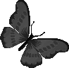 black_butterfly emote