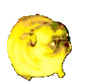 PartyPug emote