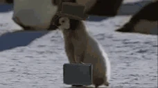 BackToTheGrind emote