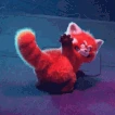 red_panda_butt emote