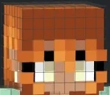 MinecraftSkin emote