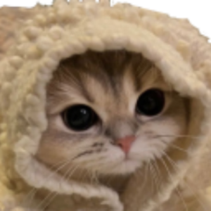 basedpiglet avatar