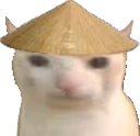 ChinaCat emote