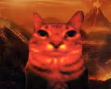 fire emote
