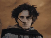 DUNEMODE emote