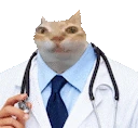 JerryTheDoctor emote