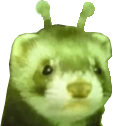 florp emote