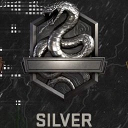 COD_Silver emote