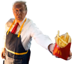 FriesInTheBag emote