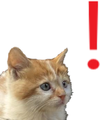 kittenExclamation emote