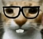 NERD emoji