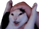 WAHOO emote